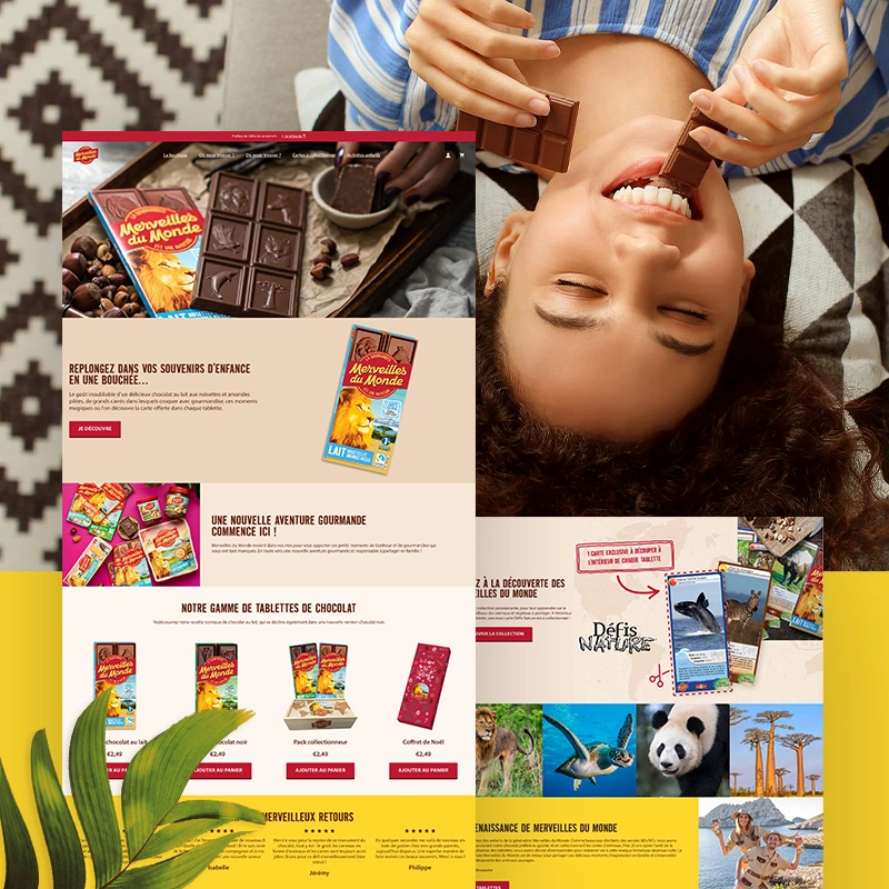 Conception de site e-commerce professionnel